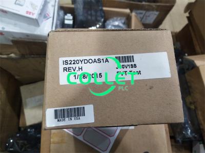 IS220YDOAS1A GE Mark VIeS، حزمة مخرجات منفصلة