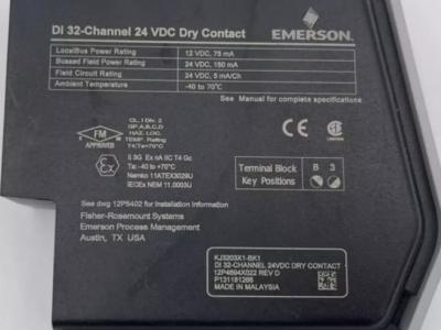 بطاقة إدخال منفصلة دلتا في من إيمرسون، 32 قناة، KJ3203X1-BK1، 12P4694